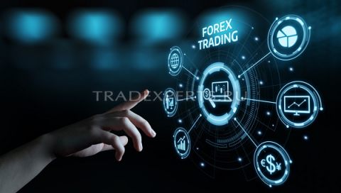 Регистрация счета на Forex пример 1 Регистрация счета на Forex пример 1